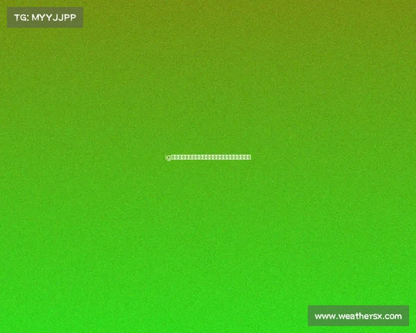 ig夺冠电子竞技作品—铸就传奇:峡谷之巅的青春风暴 ig夺冠电子竞技作品—铸就传奇:峡谷之巅的青春风暴