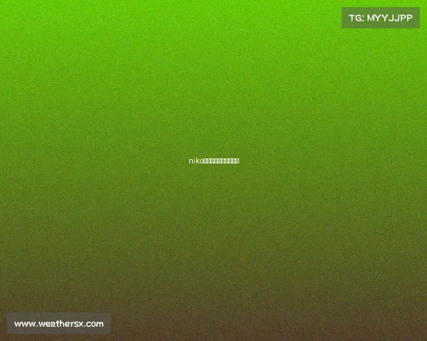 niko我将永远坚守电子竞技