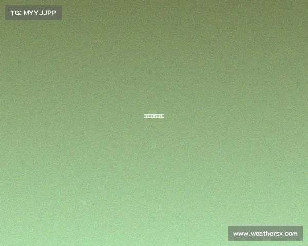 大神电子竞技官网